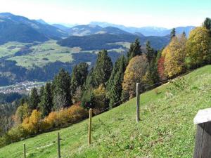hsg-woergl-hohe-salve-2017-36